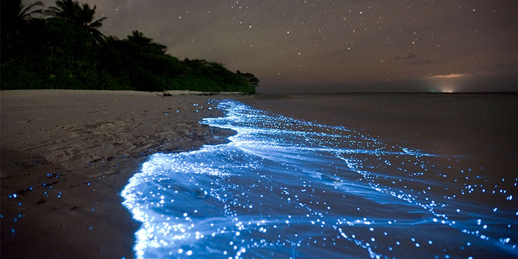 BEAUTIFUL PLACES IN THE WORLD YOU DIDN’T KNOW EXISTED- Maldives